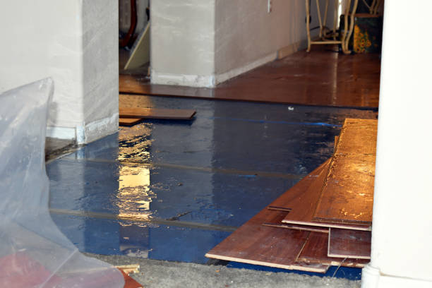 Professional Basement Flood Cleanup technician working in West Springfield, MA